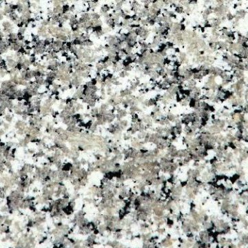 Bianco Sardo Granite | Prestige Edition
